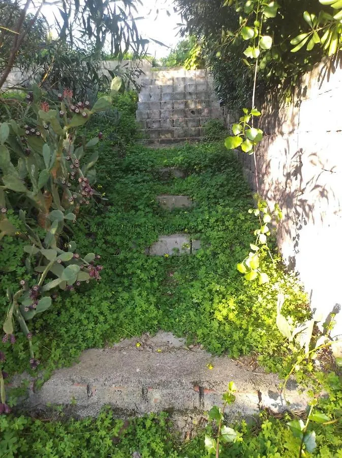 Feriehus Appartamento Con Giardino Torre Dei Corsari